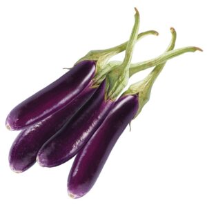 Brinjal Long (বেগুন )