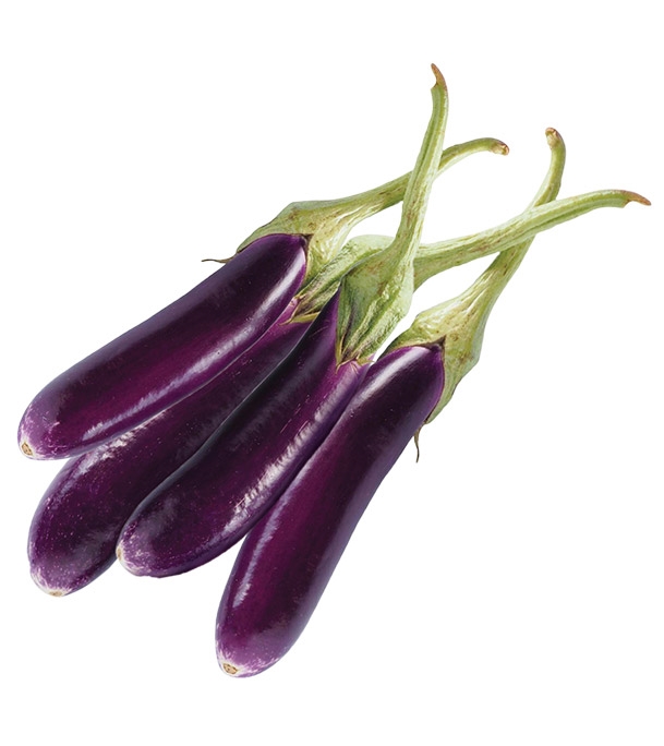 Brinjal Long (বেগুন )